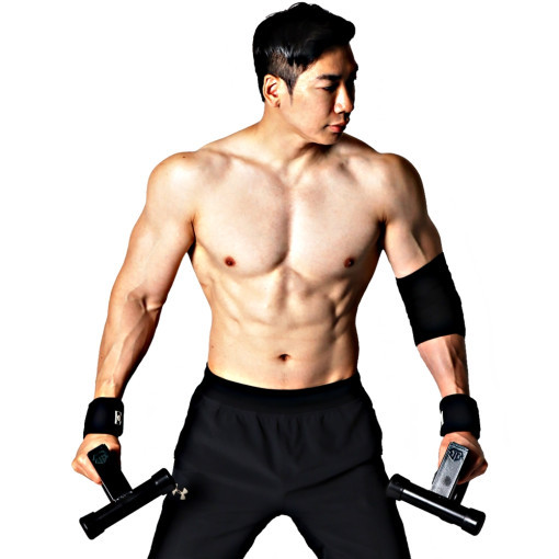 바벨라토르 푸쉬업바